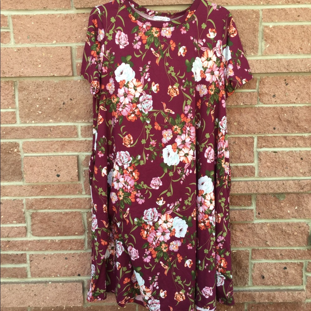 Honey and Lace Napa Dress 2X